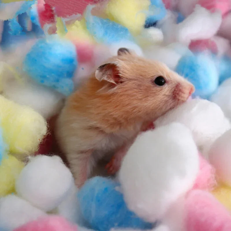Colorful Cotton Balls Small Animals Toys For Hamster Rat Mouse Nesting Material Winter Keep Warm House Filler Supply 100Pcs