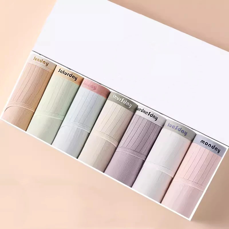 الصفحة الرئيسية