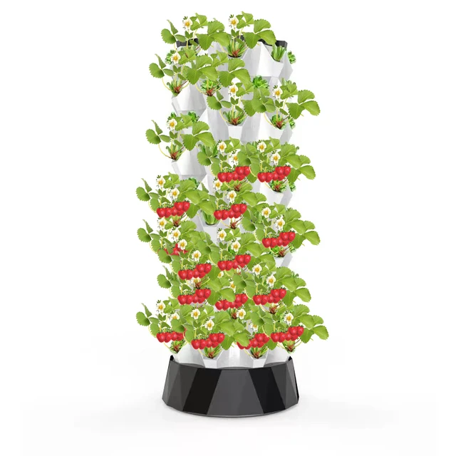 Vertical Hydroponic Pineapple Aeroponic Tower