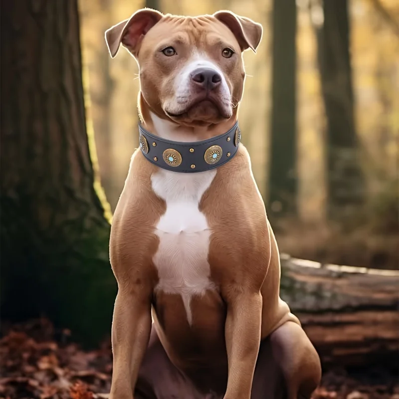 Heavy Duty Leather Dog Collar Handcrafted Luxury Pet Collar Adjustable Buckle Soft Durable Fitting 1Pc dog collar pet collar