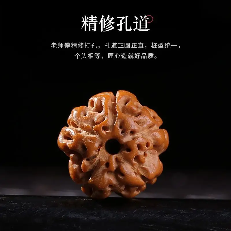 õ�� ���� ŷ ���� ŷ �� �� ����, Bodhi ������ WenPlay ȣ�� ��ó�� ����, �л� ����� �ڵ���� �ڵ� ��Ʈ��