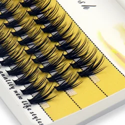 Volume Cluster Eyelashes - Natural Individual Extensions, 60 Bundles per Box, Soft Lashes for Makeup Tools Wholesale (30D)