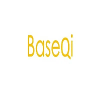 BaseQi Dell 750A 알루미늄 스텔스 드라이브 마이크로 SD/TF 카드 어댑터 SD 카드 리더, Dell XPS 15 인치 (9550) 및 Dell m5510