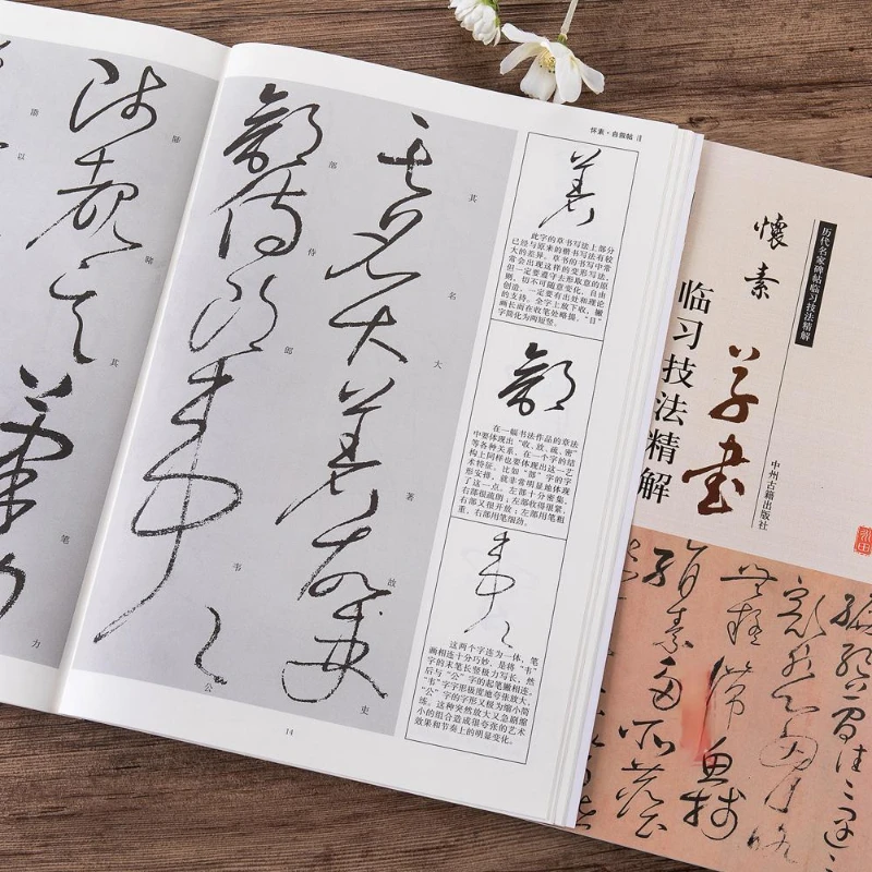 Chinesisches Kalligraphie-Kopierbuch Ouyang Xun Zhao Mengfu Running Regular Script Copy Book Adult Student Calligraphy Copying Tutorial – Detail 21