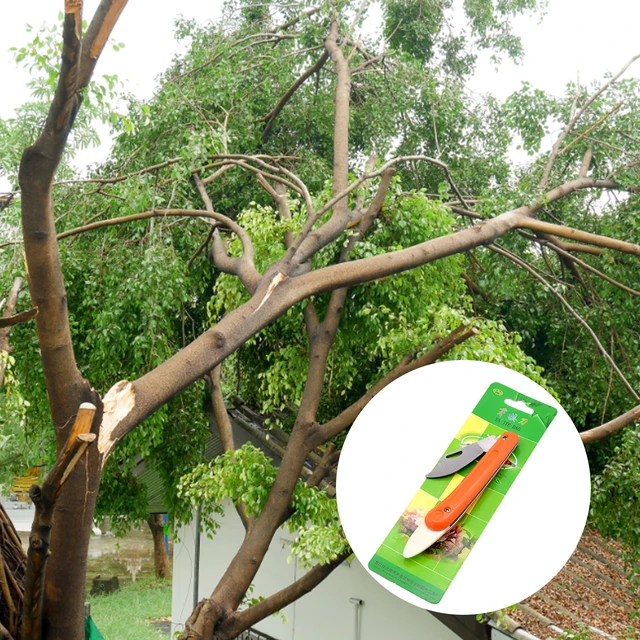 Professzionális Oltó Kés Szerszám