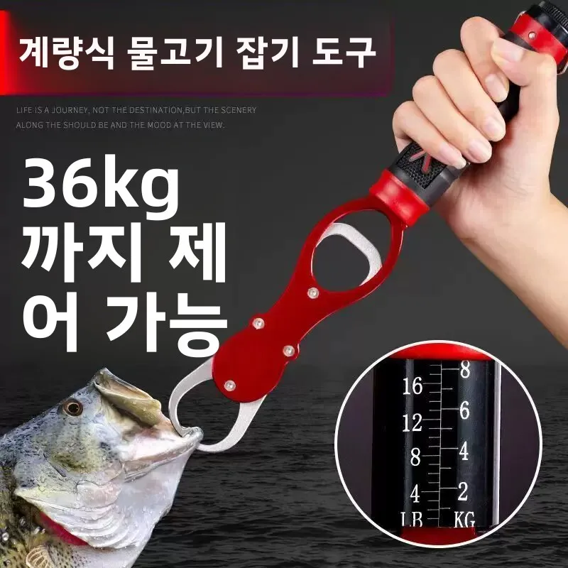 스페이스 알루미늄 낚시 컨트롤러 (물고기 잡는 고리 제거기, 저울 포함) 전문 다기능 낚시 도구 클램프