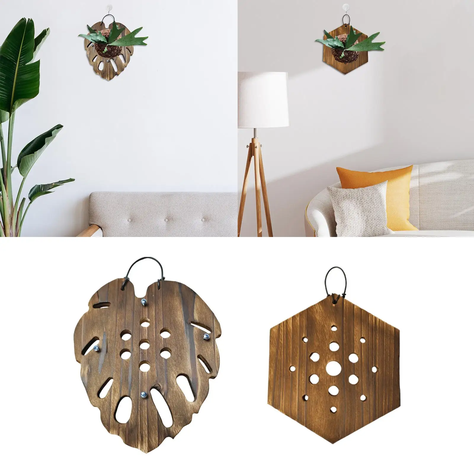thumbnail image 2 of Fenteer Staghorn Fern Mount Wall Planter Space Saving For 2 of 10