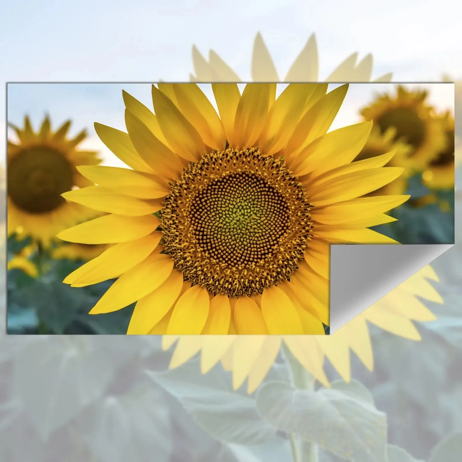 Projection Screen Reflective Fabric Cloth High Brightness 72 84 92 100 110 120 130 133 Inch for DLP LED 3D Projector Beamers - 2