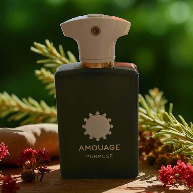 100ml AMOUAGE GUIDANCE 46 Parfum Oriental Boisé Floral Épicé Longue Durée Collection de Parfums de Luxe Élégants 1