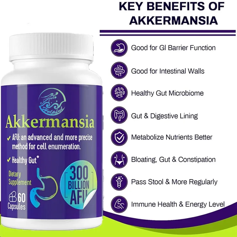 300 billion AFU Akkermansia Muciniphila live probiotic for digestion gut immunity and overall health 60 capsules probiotic capsules