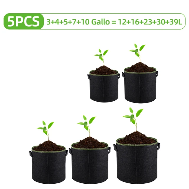 5pcs mixed