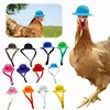 Funny Hat For Hens 2