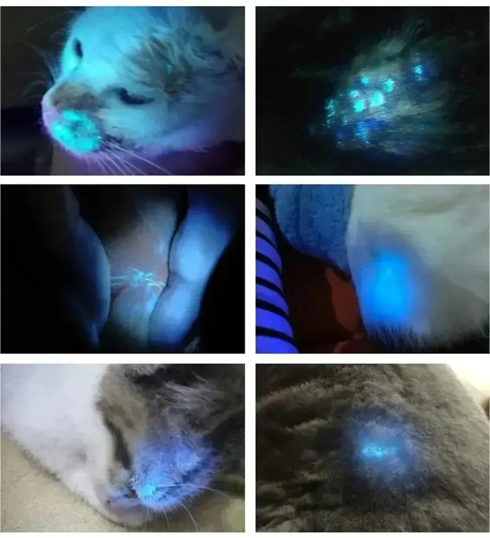 Handheld UV Woods Lamp 365nm Pet and Human Skin Care Tool Spot Identify Invisible Fungus Ringworm Vitiligo with Ease At Home