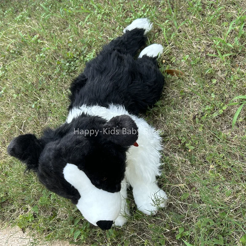 25 cm Real Life Border Collie Dog Soft Toy Realistic Long Haired Black Dog  Plush Toys Puppy Stuffed Animal Toy Gifts - AliExpress