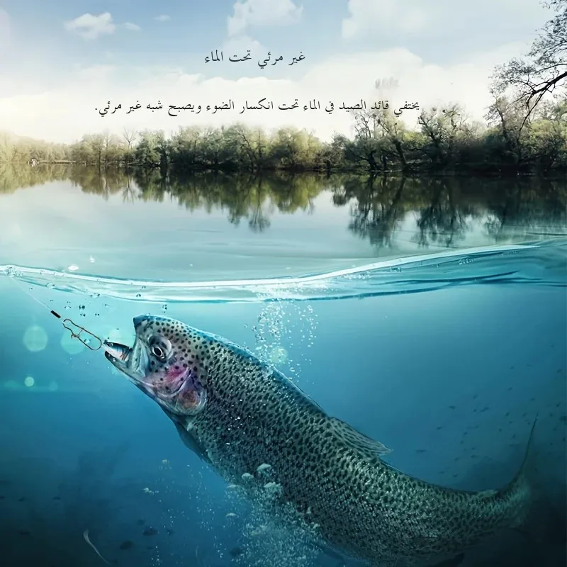 صورة 3
