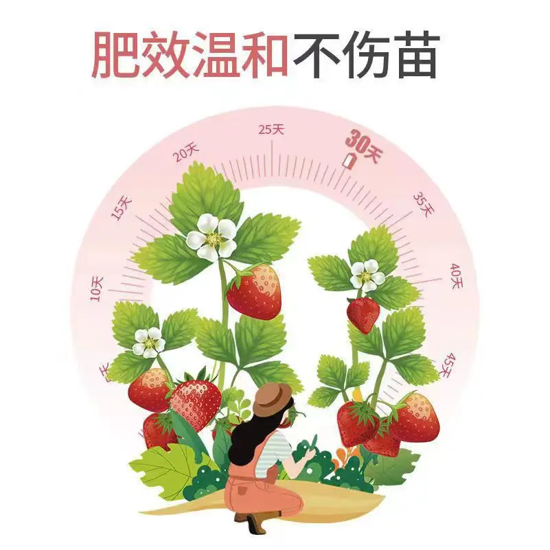 Strawberry Special Fertilizer Fertilizer Horticultural Pot Nutrition