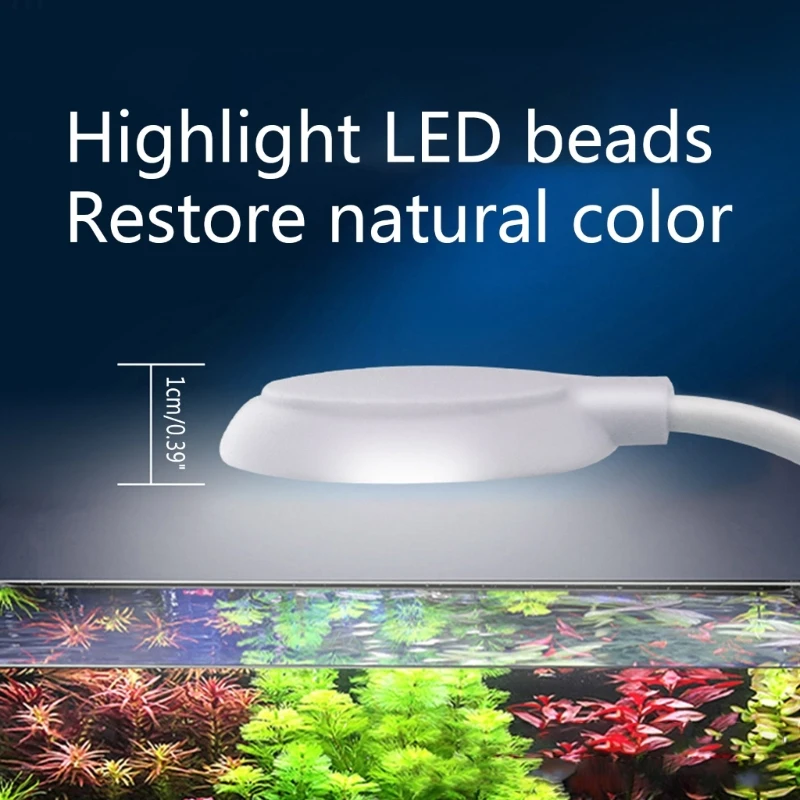 LED  Ŭ  5W Ŭ  360     95AA