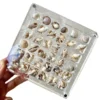 36 Grid Shell Storage Box Acrylic Mineral Stone Specimen Storage Box closet organizer jewelry organizer storage containers 1