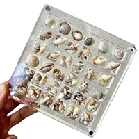 36 Grid Shell Storage Box Acrylic Mineral Stone Specimen Storage Box closet organizer jewelry organizer storage containers 1
