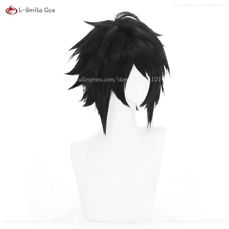 Death Note L Lawliet Cosplay Perücke Schwarz Kurz Hitzebeständig Synthetik Anime Halloween 4