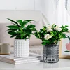 Lazy Hydroponic Flower Pot Automatic Water-Absorbing Flowerpot Double Layer Plastic Self Watering Planter Office 1