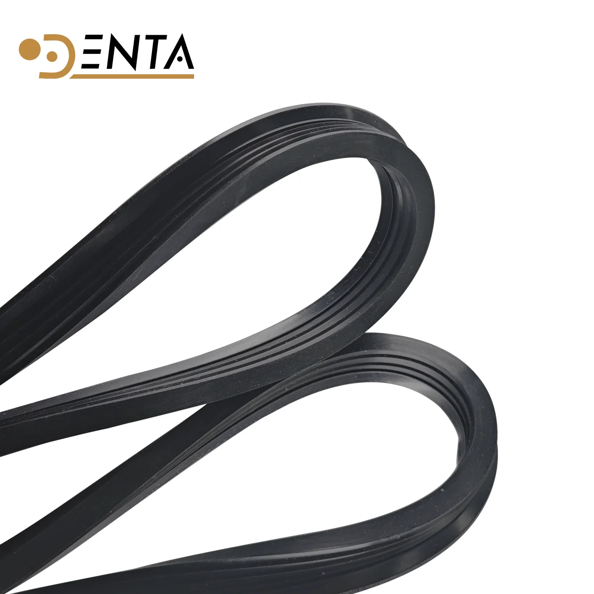 33# TECNO TECHNOGAS EUROPA BX autoclave 17L-23L gasket sterlization door chamber replacement o-ring parts and tools