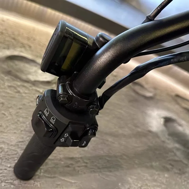 運転大道楽 2000 Special Version SUPER73-ZX SE – Vintage Iron Cycles