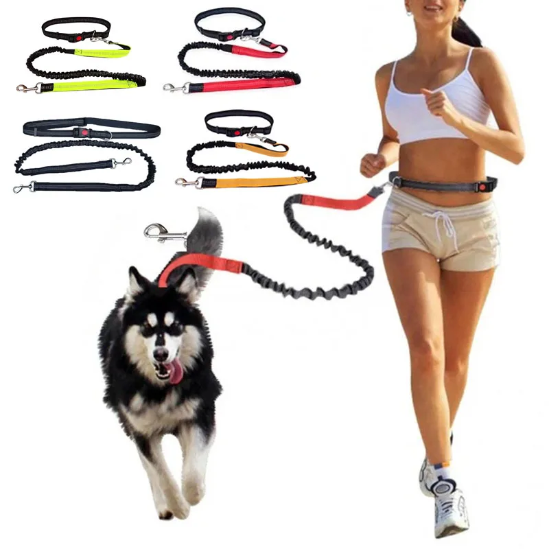

Прочный эластичный нейлоновый поводок для собак для бега и прогулок поводок для собак с удобным захватом идеально подходит для активных собак и владельцев