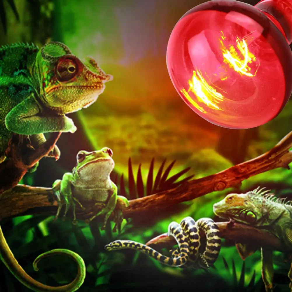 25W 40W 50W 60W 75W 100W E27 Poultry Heating Bulb Infrared Insulation Heating For Reptiles Plants Amphibians Pets Livestock Lamp 3