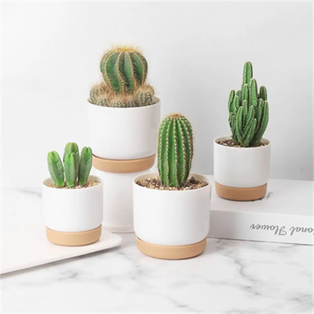 Self Watering Flowerpot Automatic Water Absorption Storage Round Double-layer Succulent Planter Pot Small Green Plant Flowerpot hydroponic flower pot flower pot plant pot