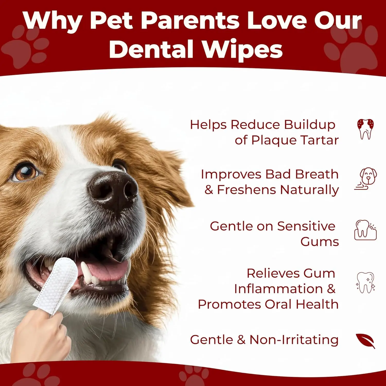 Pet Dental Cleaning Wipes 2