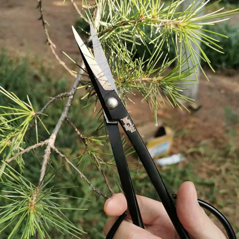 180mm 긴 손잡이 가위 분재 도구 가지 치기 가위 가지 트리밍 잎 과일 야채 가위 커터