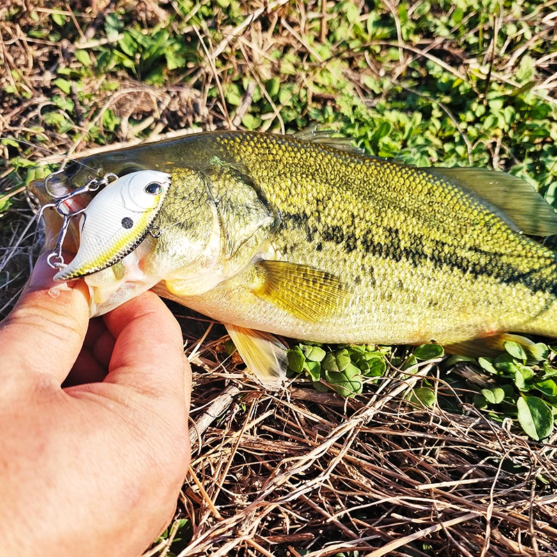 Best Baits For Winter Bass Fishing TSURINOYA 50S Vibration