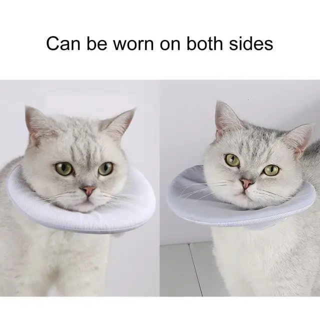 Collare Recupero Per Gatti E Cani Darryy - Anti Leccata, Regolabile 24-31cm, Traspirante E Morbido