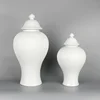 Ceramic General Jar Porcelain Ginger Jar Stripe Sealed Tea Storage Tank with Lid Ceramic Handicraft Ornaments Home Decoration 1