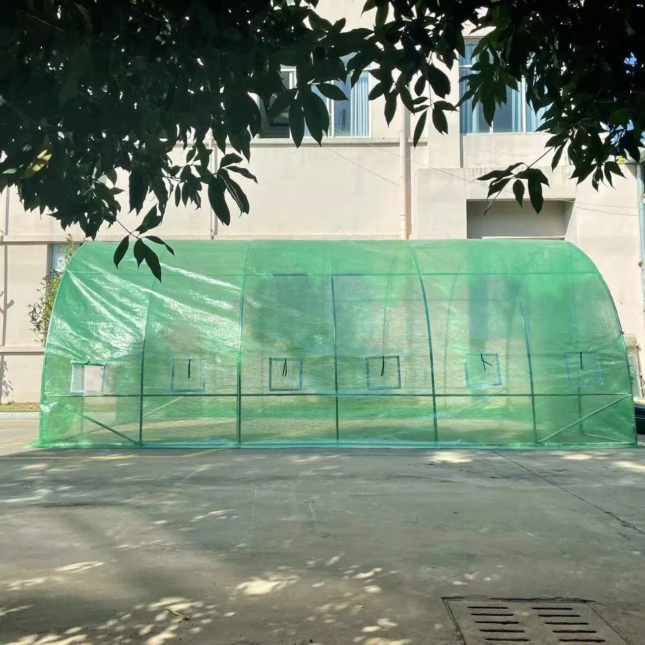 6x3x2m Hot Sale Foldable Growing Room Small Greenhouse Plastic Shed Single-Span Greenhouse For Strawberry - Image 2