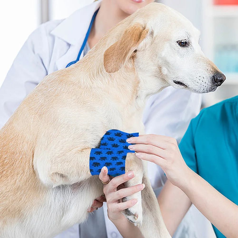 6Pcs Sports Protective Bandage Self-Adhesive Non-Woven Pet Bandage Wear Resist Vet Wrap Tape for Animals Ankle Sprains