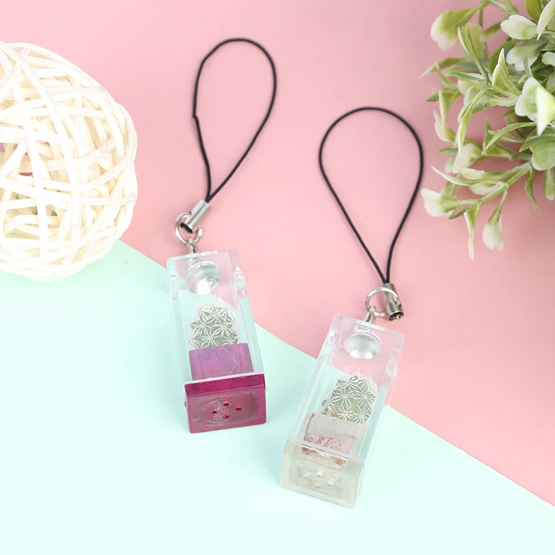 Succulent Plant Pendant Mini Succulent Cactus Plant Keychain Random Pendant Keyring Charm With Glass Cover Craft Gifts stainless steel keychain