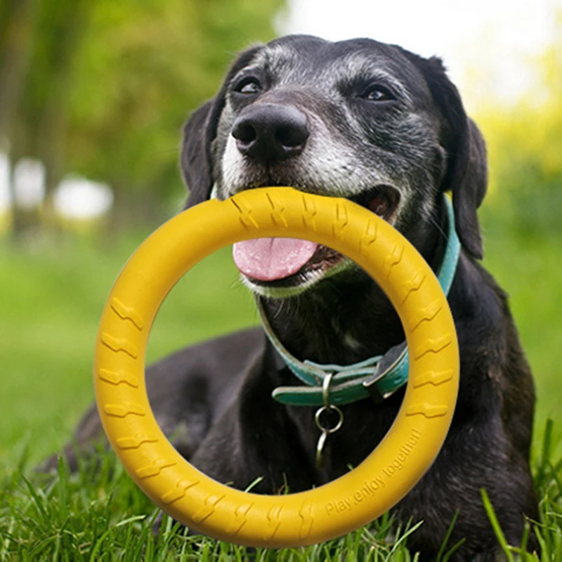 Large Dogs Interactive Training Ring Puller Resistant For Dogs Pet Flying  Discs