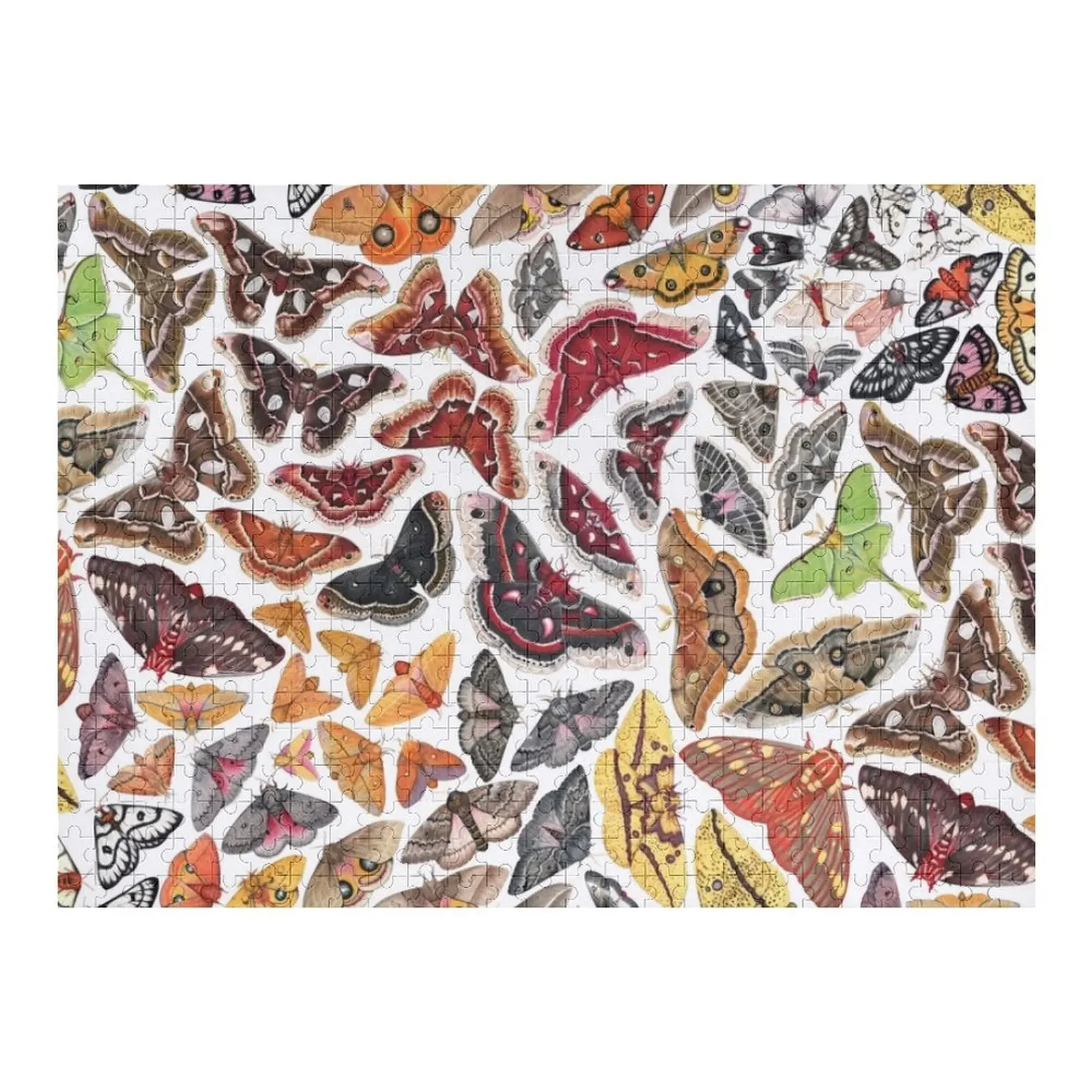 Saturniid Moths of North America Pattern Jigsaw Puzzle Wood Adults Children Personalized Gift Ideas Jigsaw For Kids Puzzle saturniid moths of north america pattern jigsaw puzzle wood adults children personalized gift ideas jigsaw for kids puzzle