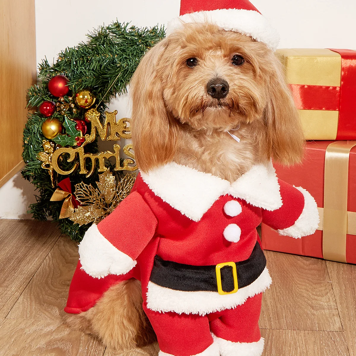 217259-80fe67.jpg Manteau de Père Noël pour chien - Costume Noël chien - DogLoveDesign - 2025 - Doglovedesign : Vêtement et accessoires pour chiens