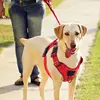 No Pull Dog Harness with Locator Silicone Protective Cover Anti slip Adjustable Pet Chest Harness for Medium & Large Dogs 2
