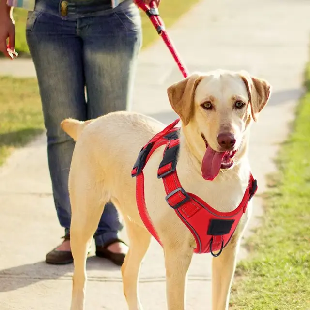 No Pull Dog Harness with Locator Silicone Protective Cover Anti slip Adjustable Pet Chest Harness for Medium & Large Dogs 2