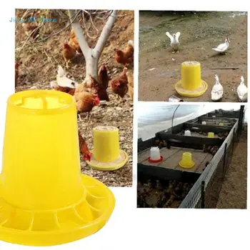 Automatic Chick Feeder 3