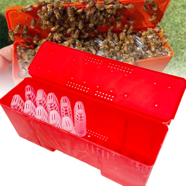 1Db Jzbz Queen Méh Tenyésztő Inkubátor Ketrec Dobozszállítás Műanyag Posta Mozgás 20Db Bebörtönzött Fogoly Méhész Eszköz