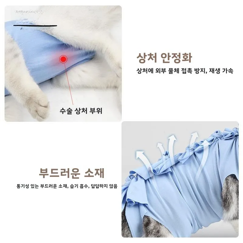 애완동물 의류 고양이 수술 회복 편안하고 통기성 좋은 강아지 비숑 생리학적 바지 우유치 예방 항균