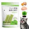 Cat Grass Chewing Stick Natural Teeth Cleaner Pet Snacks Hairball Removal Sticks for Kitten Mouth Healthy Cat Teeth Care 4