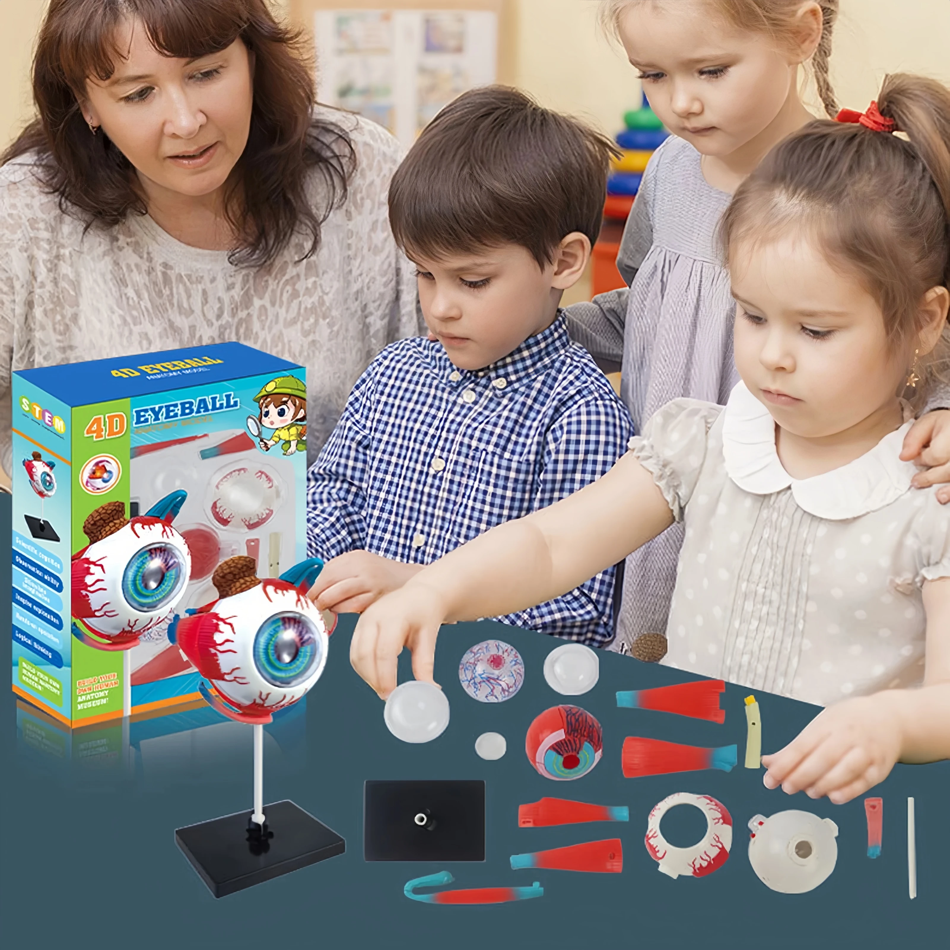 3D Eye Anatomical Model Puzzle, Best Toddler Learning Toys, Educational Toys, Aid Students Learning Educational STEM Toy 3