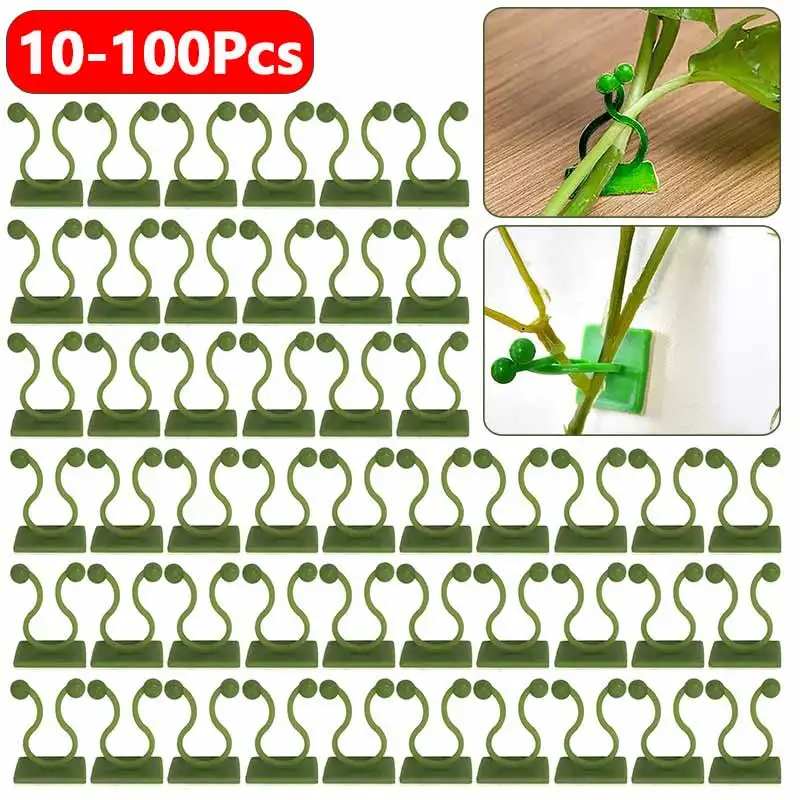 Plant Climbing Fixture Clips 10-100Pcs Plant Vine Climbing Wall Fixer Self Adhesive Hook Vines Holder
