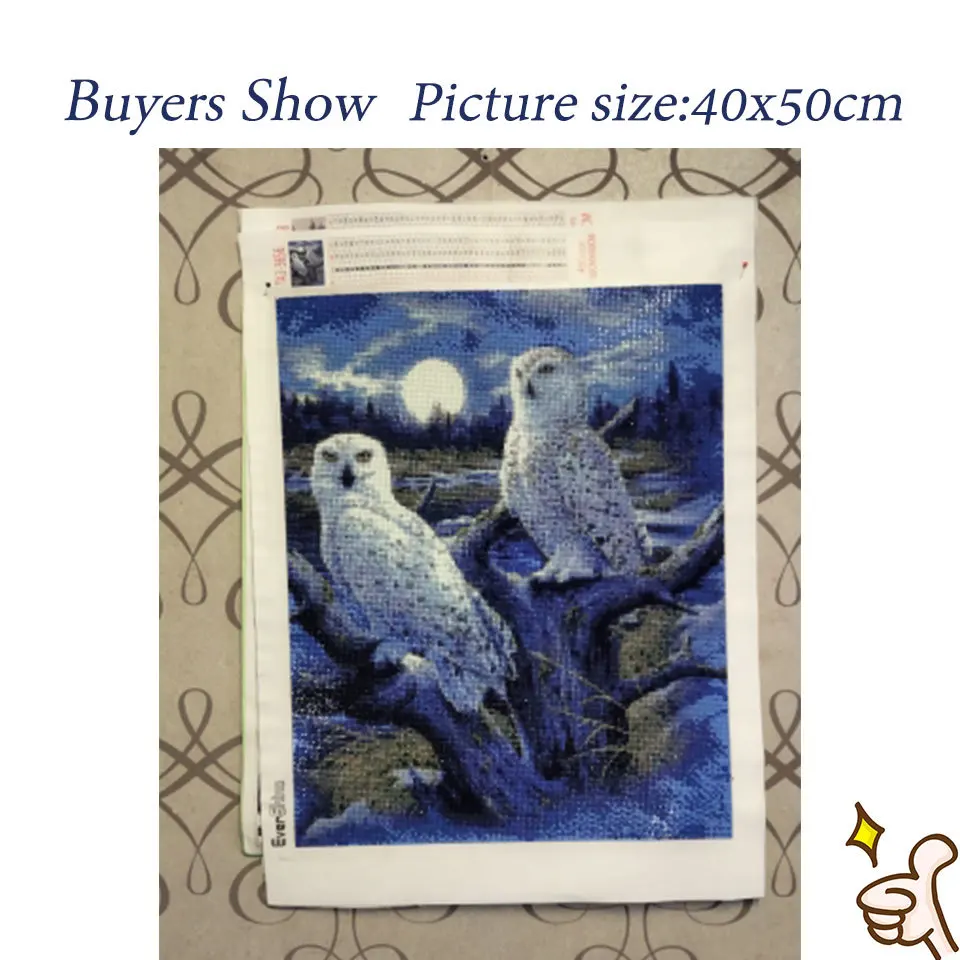 EverShine Diamond Painting Full Square Owl Cross Stitch Diamond Mosaic Animal Bead Embroidery Picture Rhinestone Wall Decoration